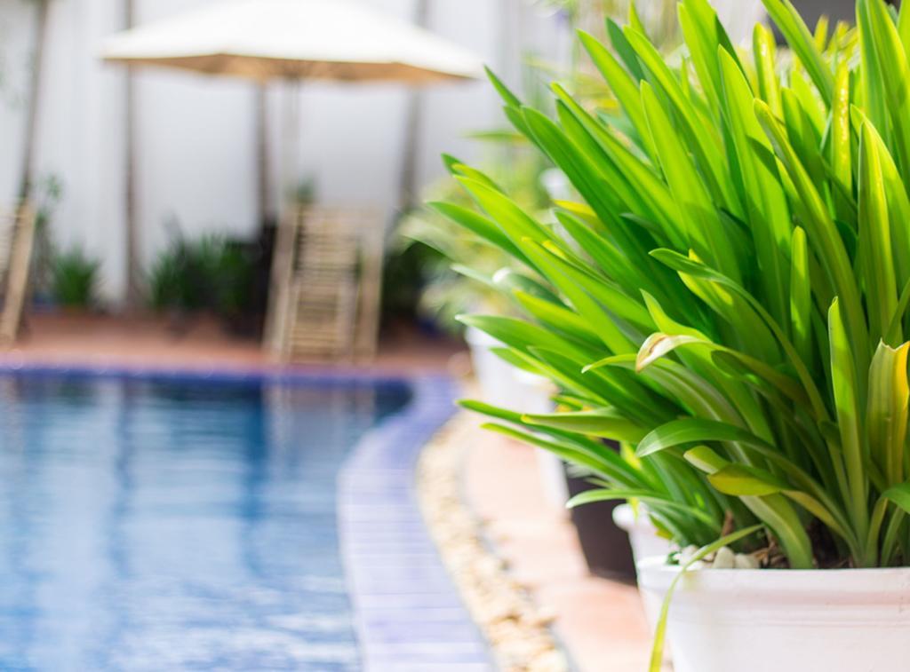 Overflow Guesthouse Σιέμ Ρέαπ Εξωτερικό φωτογραφία